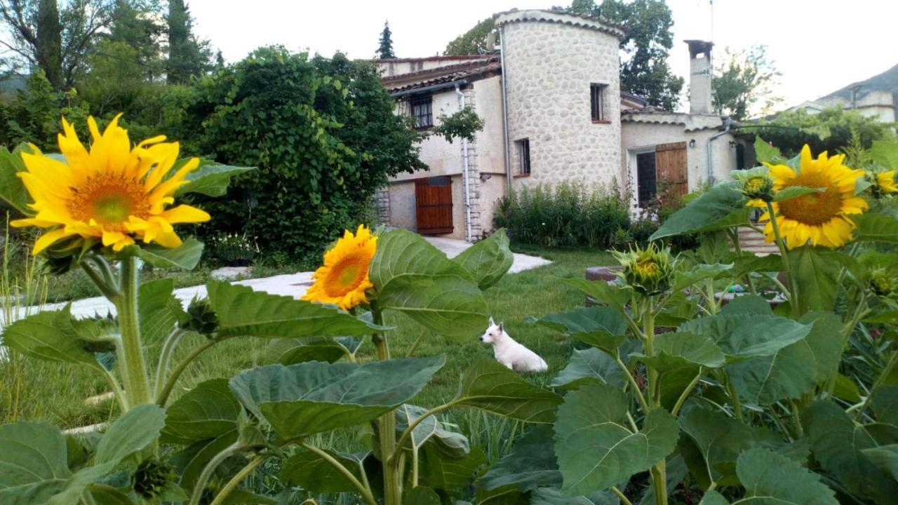 Clot De Felines Chambre Spacieuse Otel Entrevaux Dış mekan fotoğraf