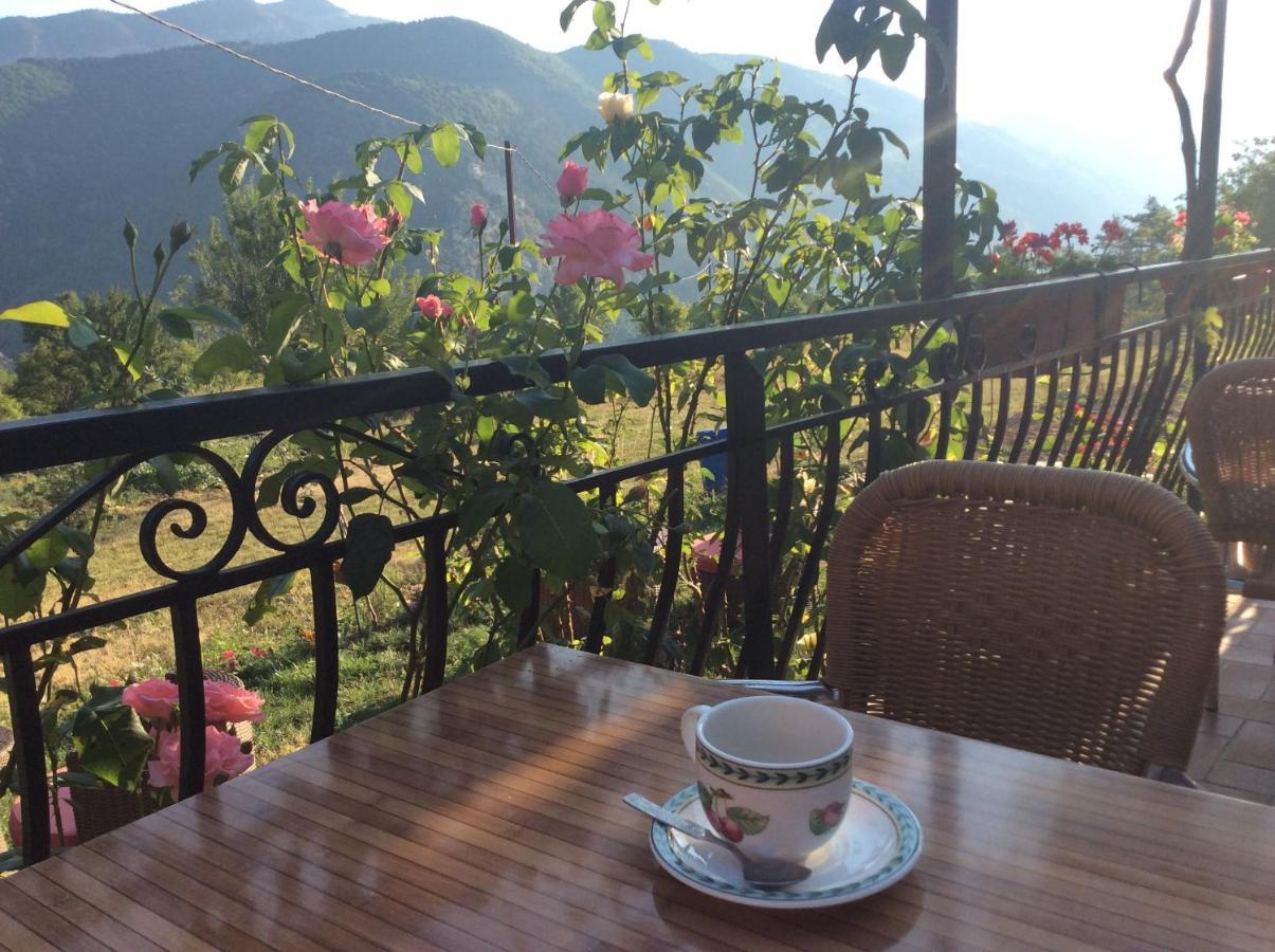Clot De Felines Chambre Spacieuse Otel Entrevaux Dış mekan fotoğraf