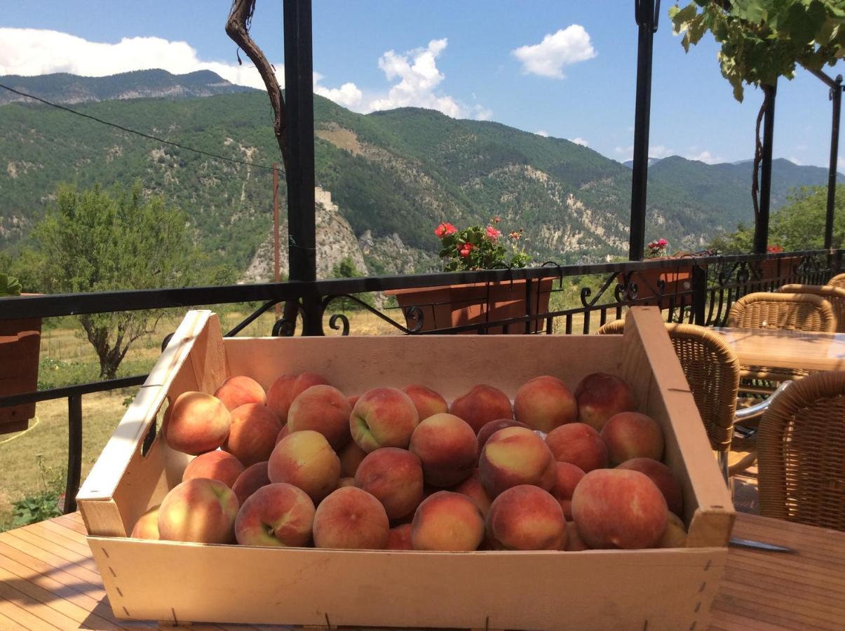 Clot De Felines Chambre Spacieuse Otel Entrevaux Dış mekan fotoğraf